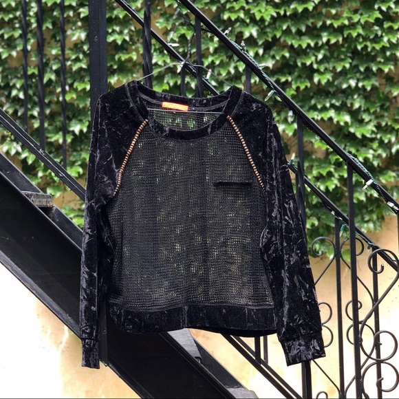 Lulumari Sheer Velvet Top - Picture 2 of 9